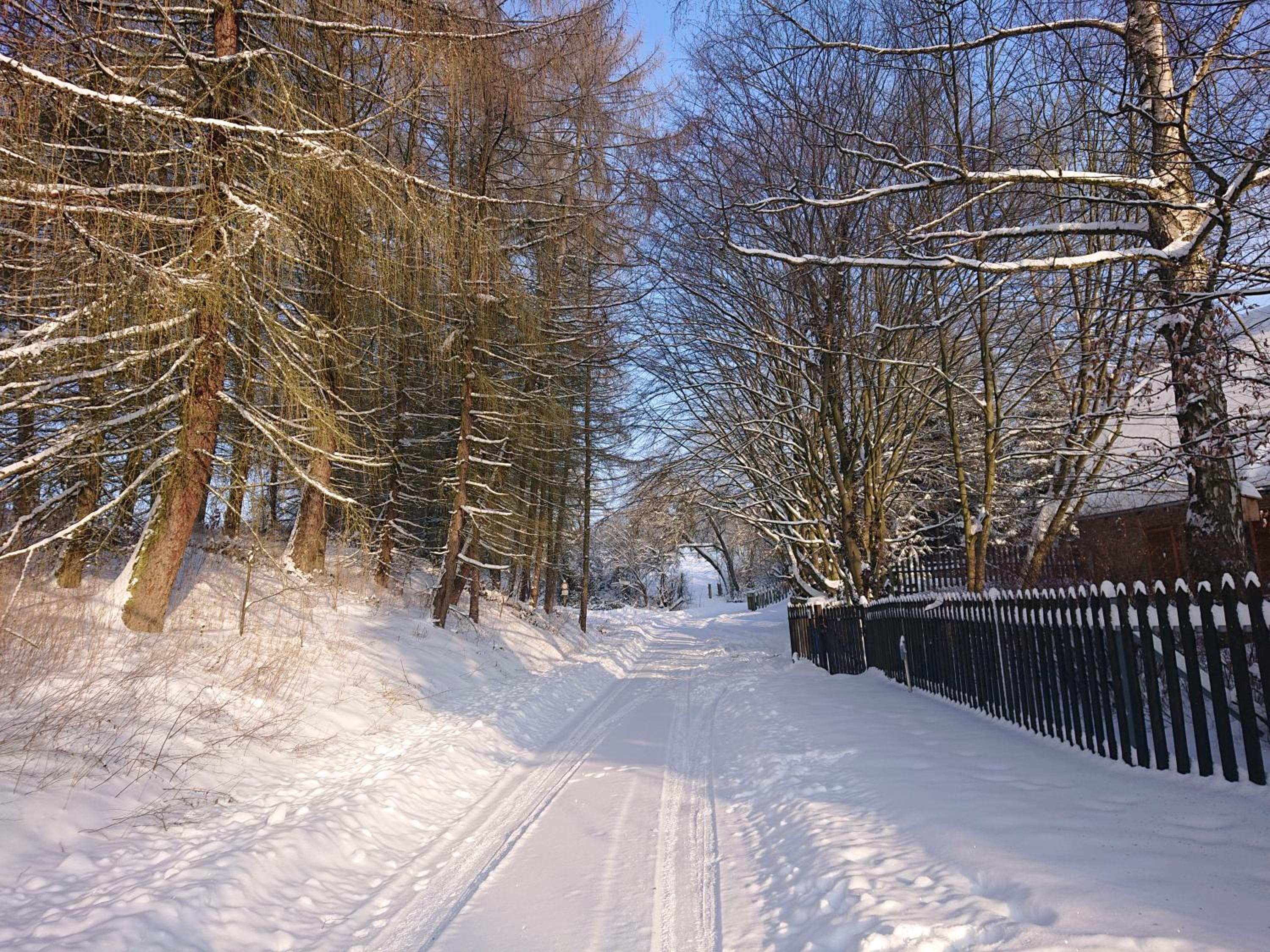 Im Buchenwäldchen - ruhig gelegenes Haus in der Natur für bis zu 12 Personen
