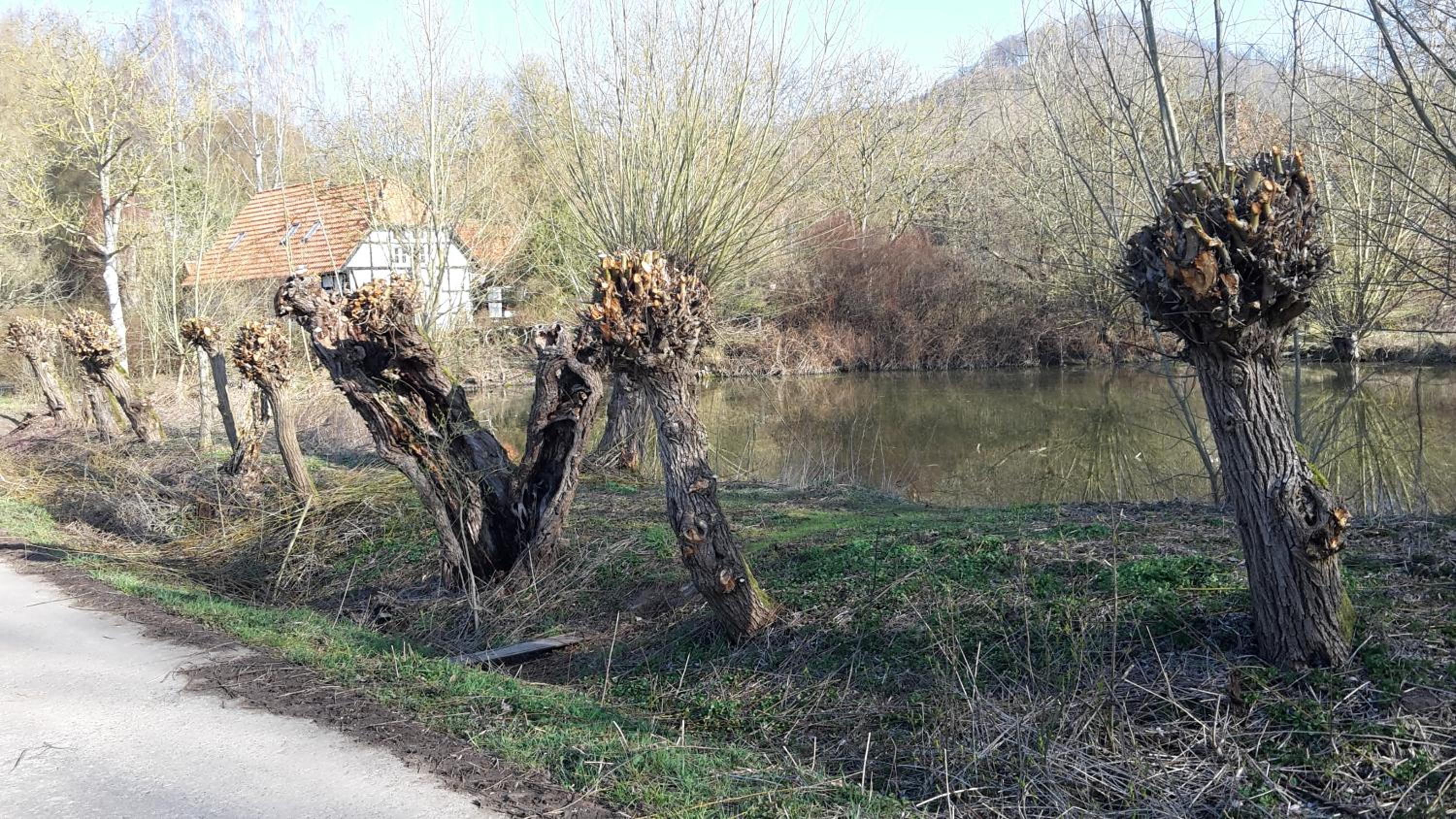 Im Buchenwäldchen - ruhig gelegenes Haus in der Natur für bis zu 12 Personen