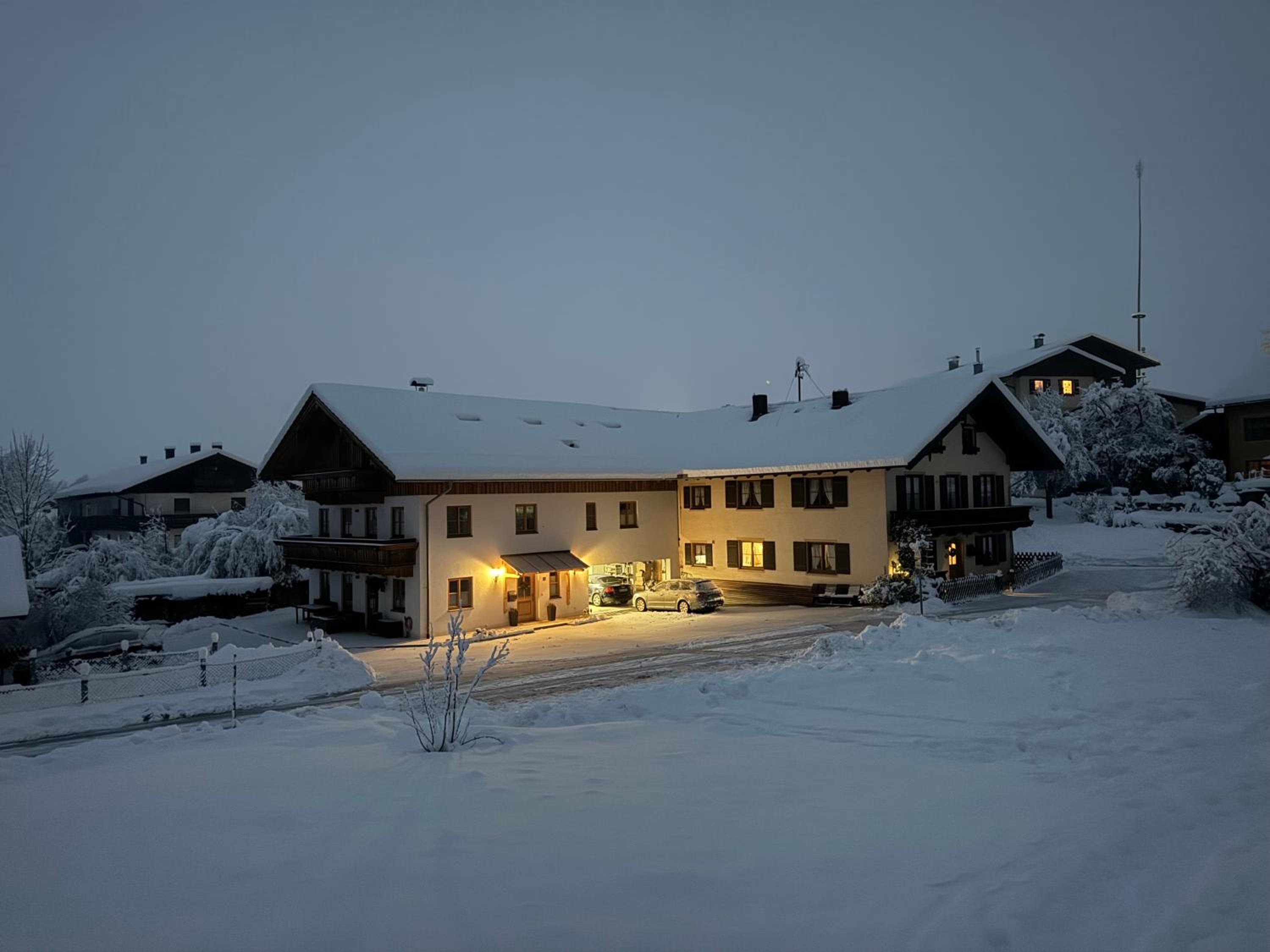 Taubennest