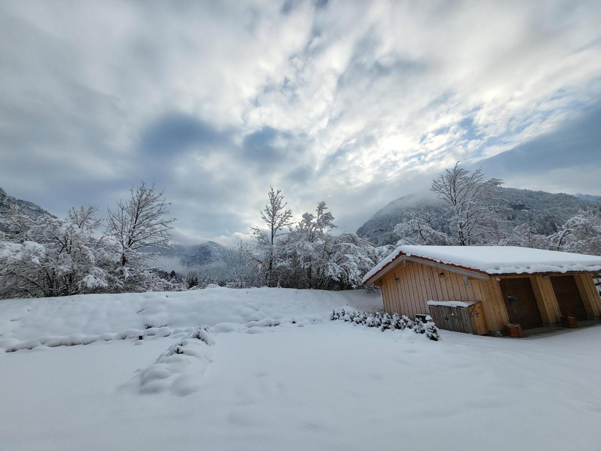Nickis Bergcamp