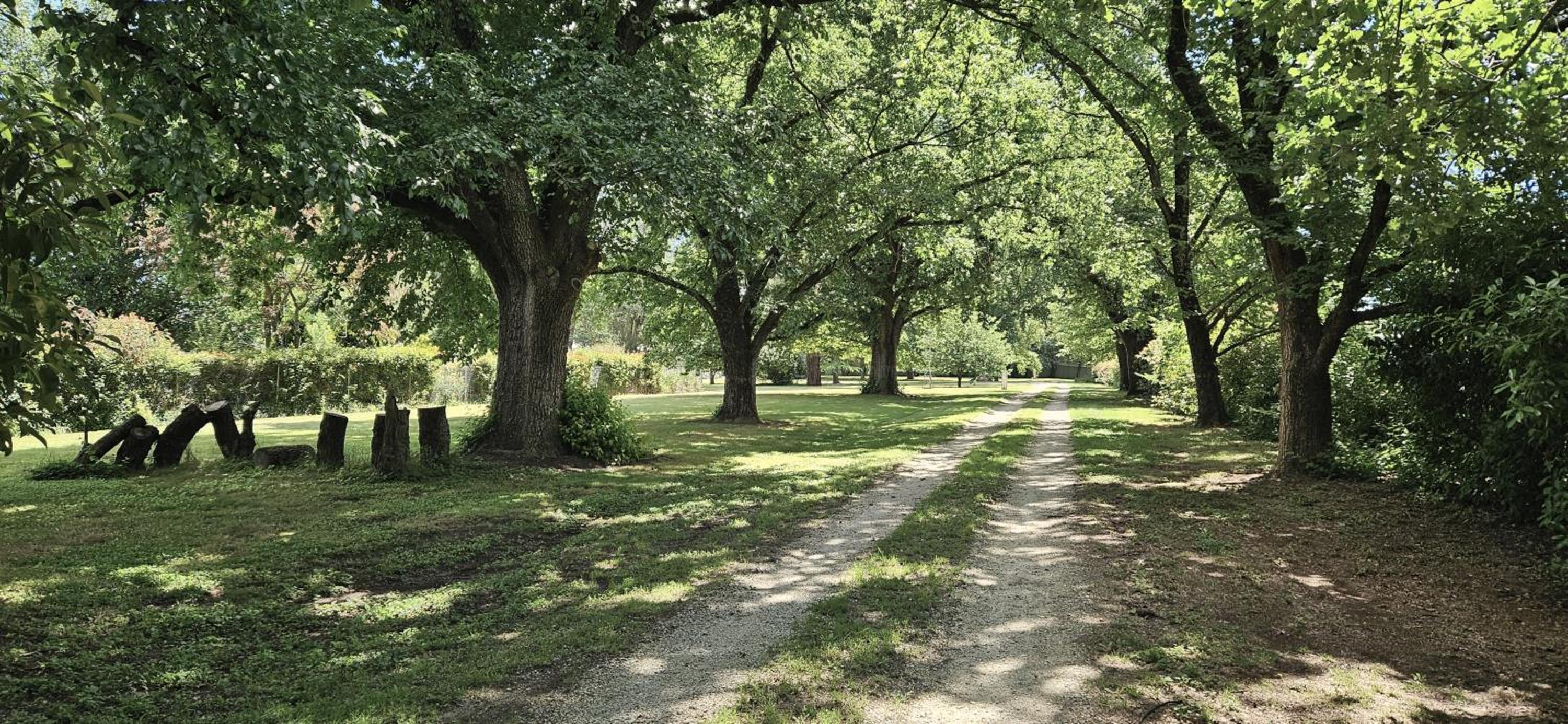 The Avenue Anahdale - Hidden 2.7 Acre Estate in town