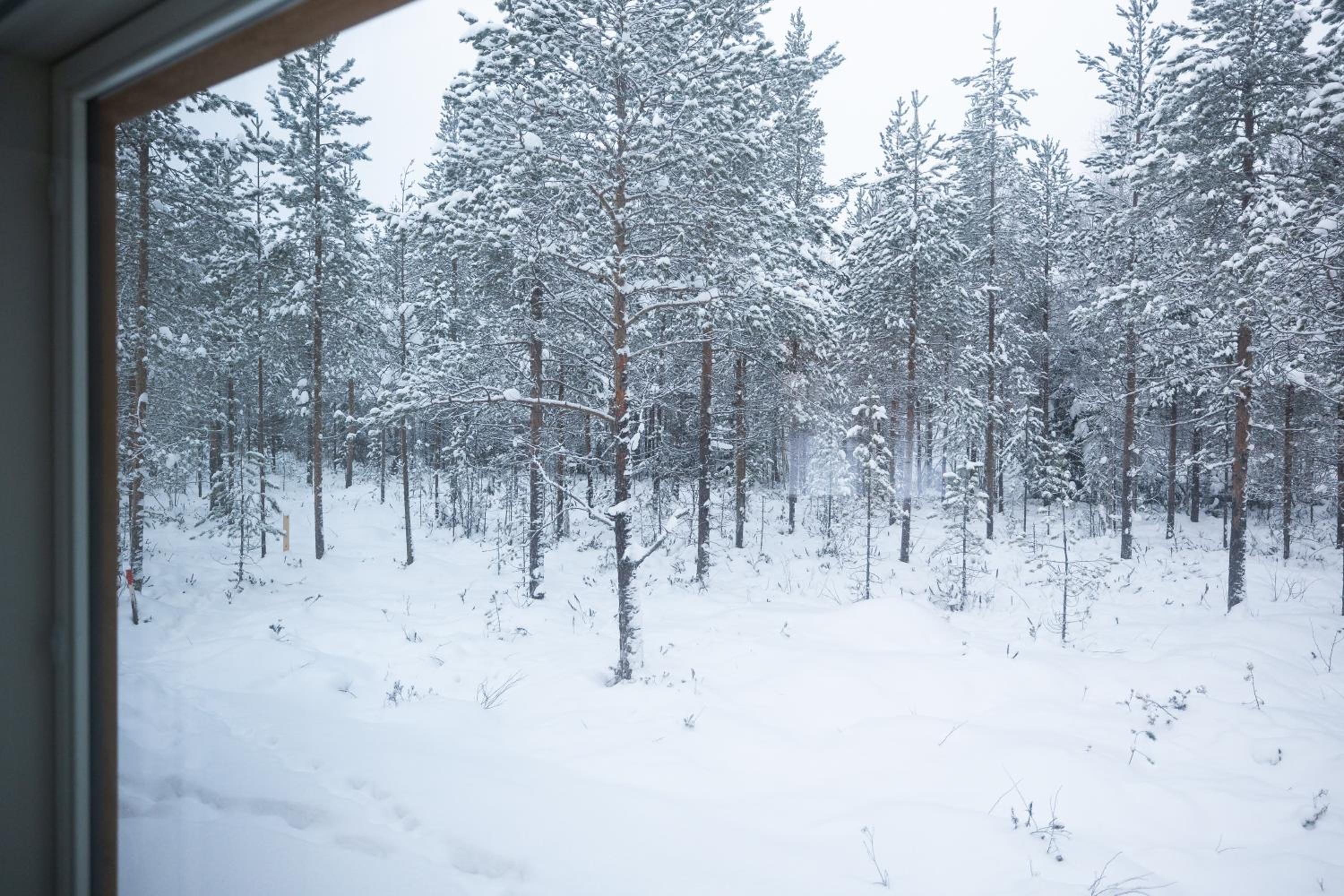 Premium Lapland Villa with jaguzzi