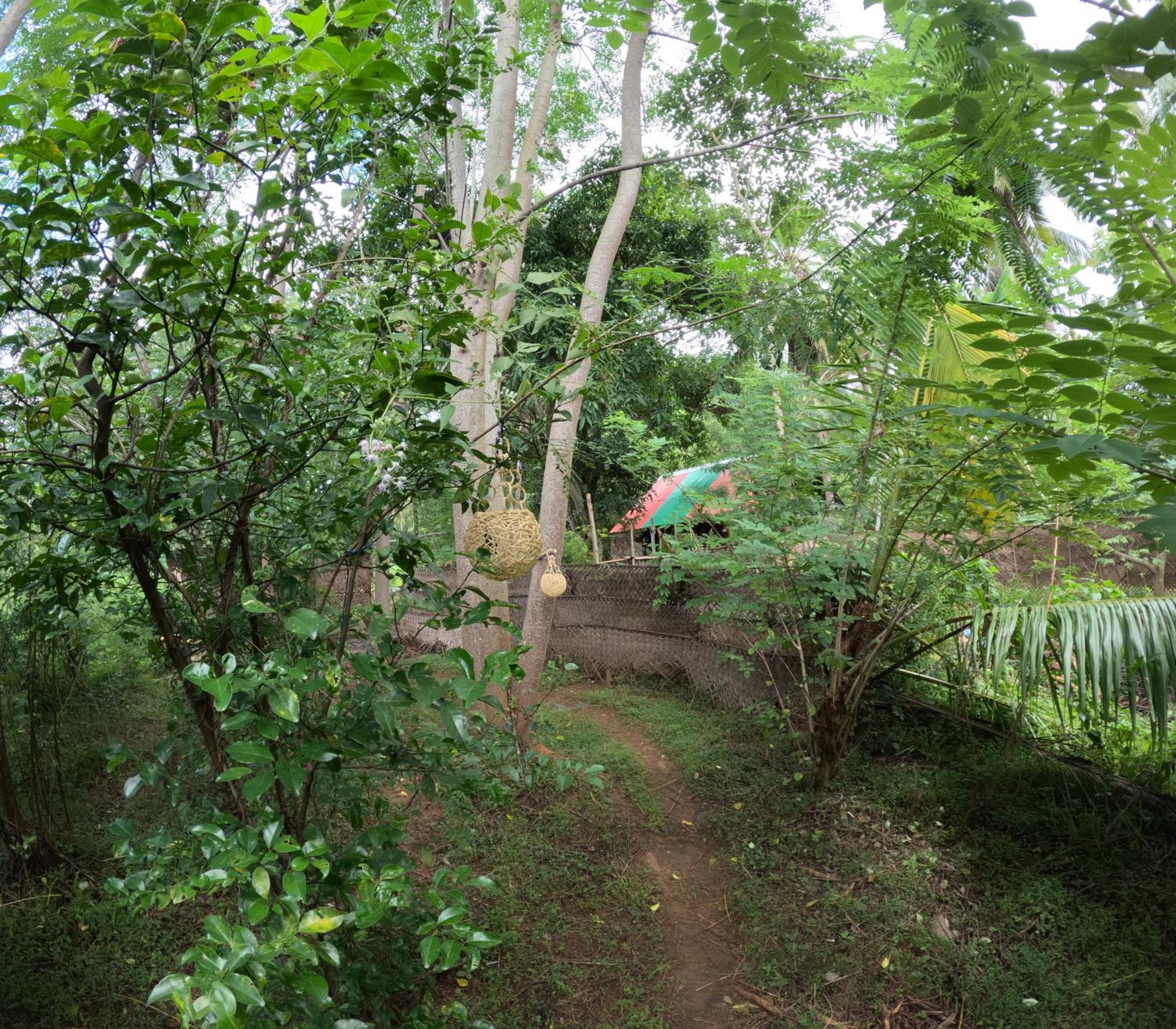 Photo 20