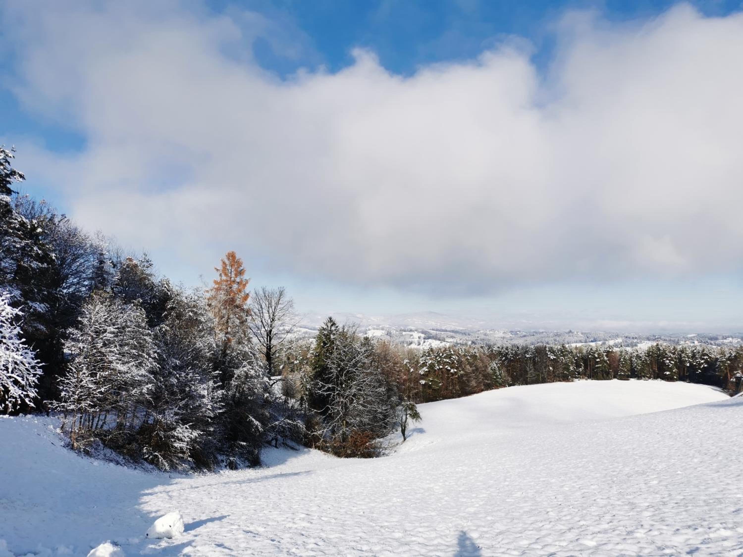 Stilvolles Ferienhaus Südsteiermark ruhige Lage top Aussicht & E-Ladestation