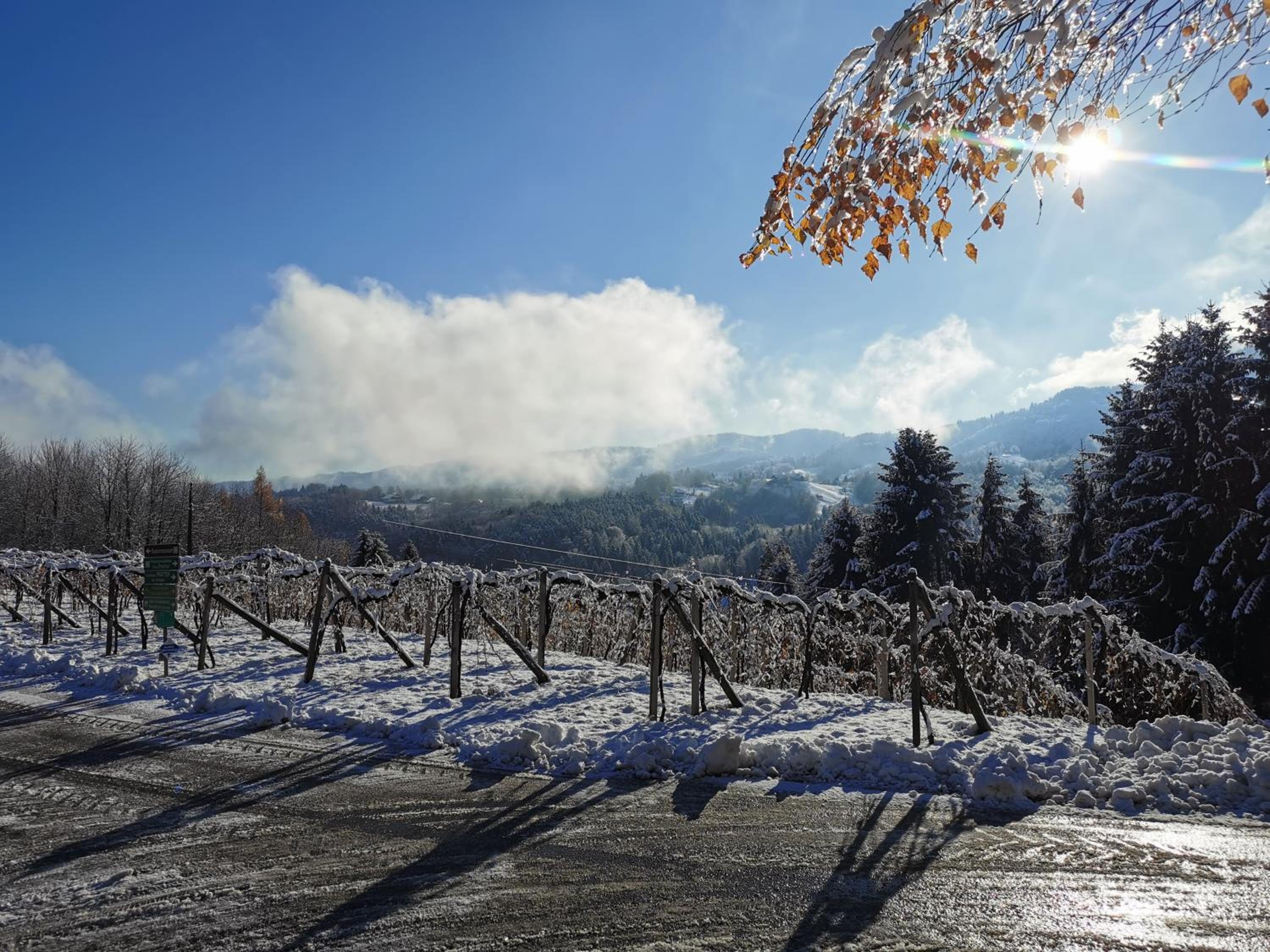 Stilvolles Ferienhaus Südsteiermark ruhige Lage top Aussicht & E-Ladestation