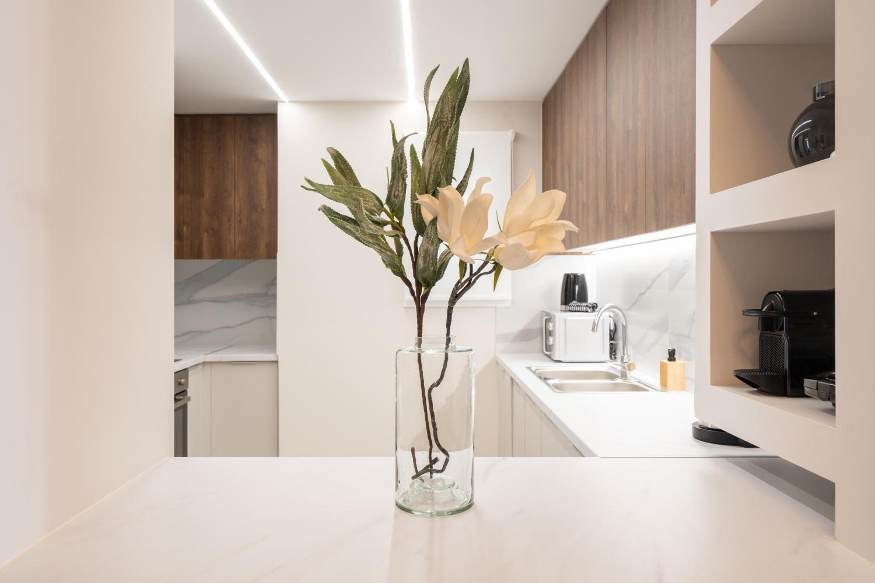 Luxurious Apartment In the Heart of Athens