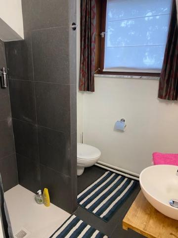 Vakantiewoning Het Wielje Maasland