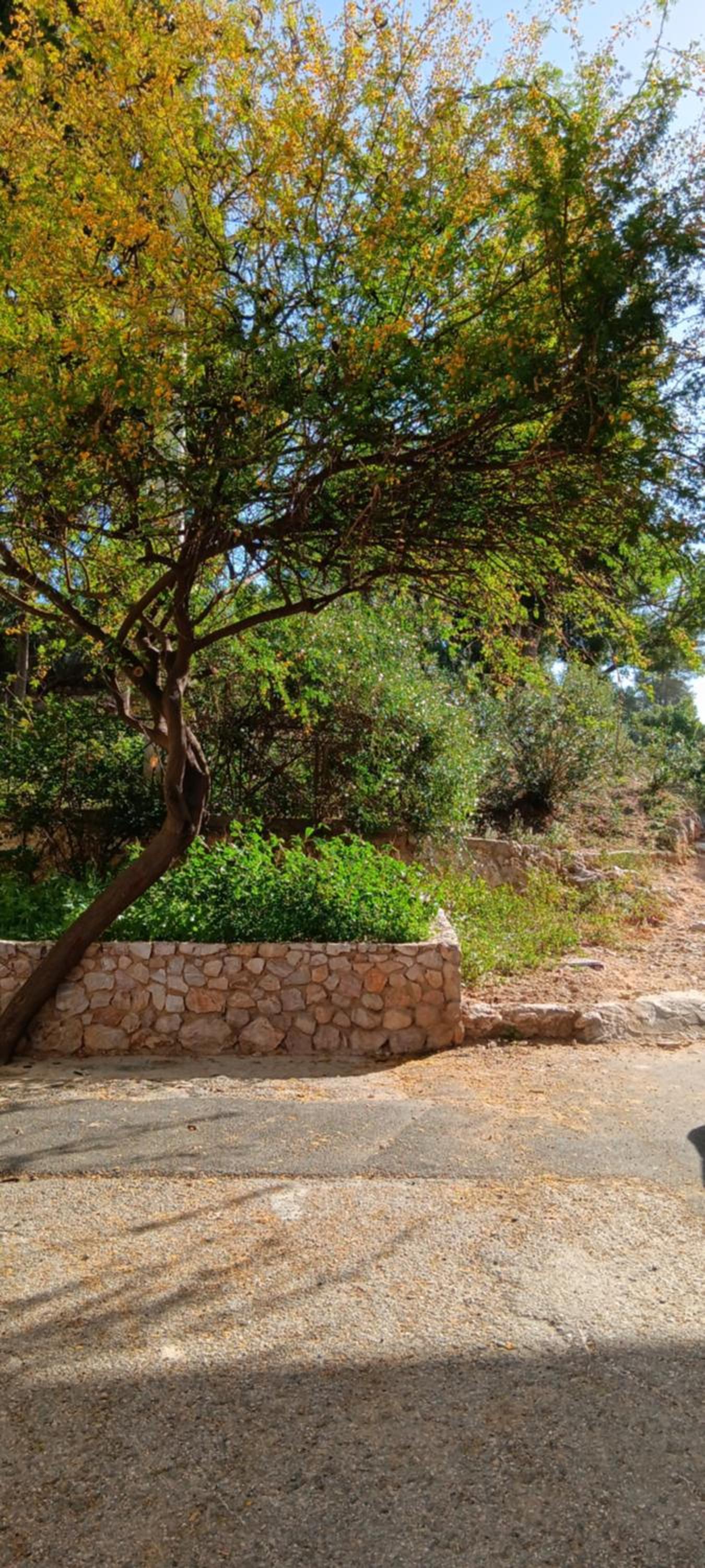 Athenian Asty Guesthouse