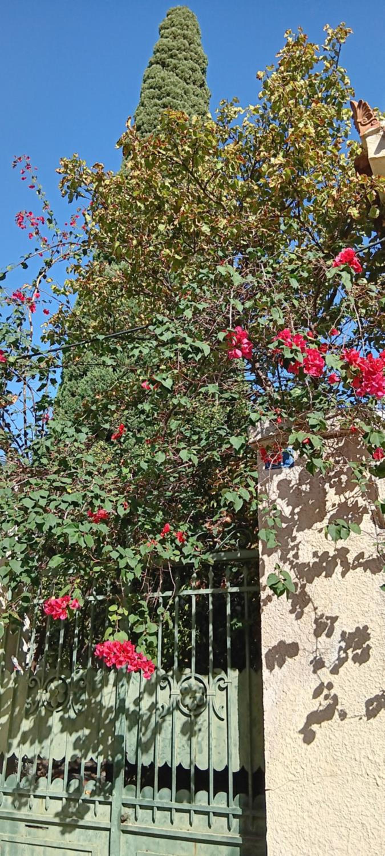 Athenian Asty Guesthouse