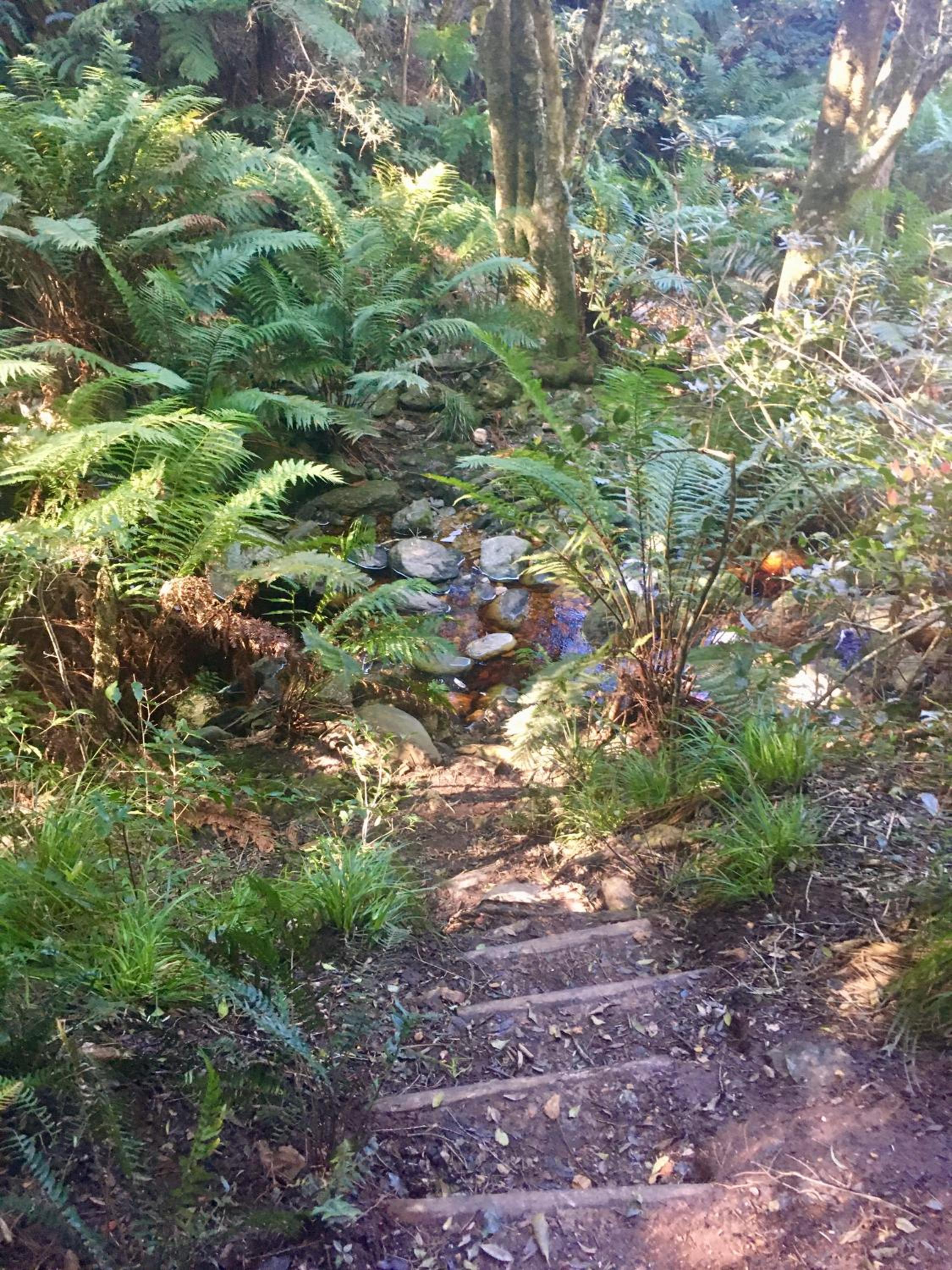 Photo 21