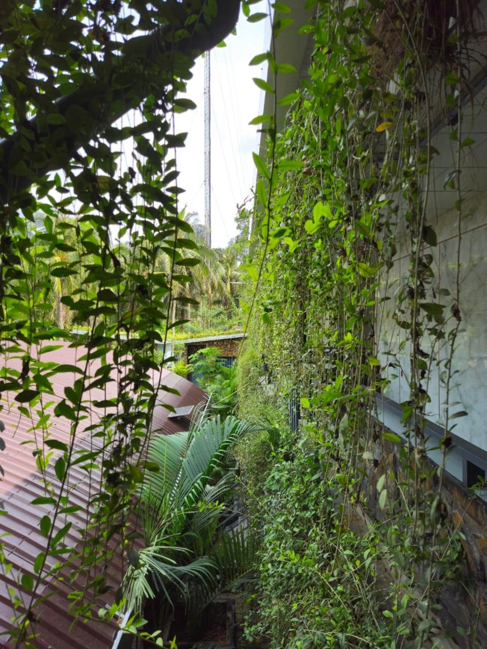 Photo 47