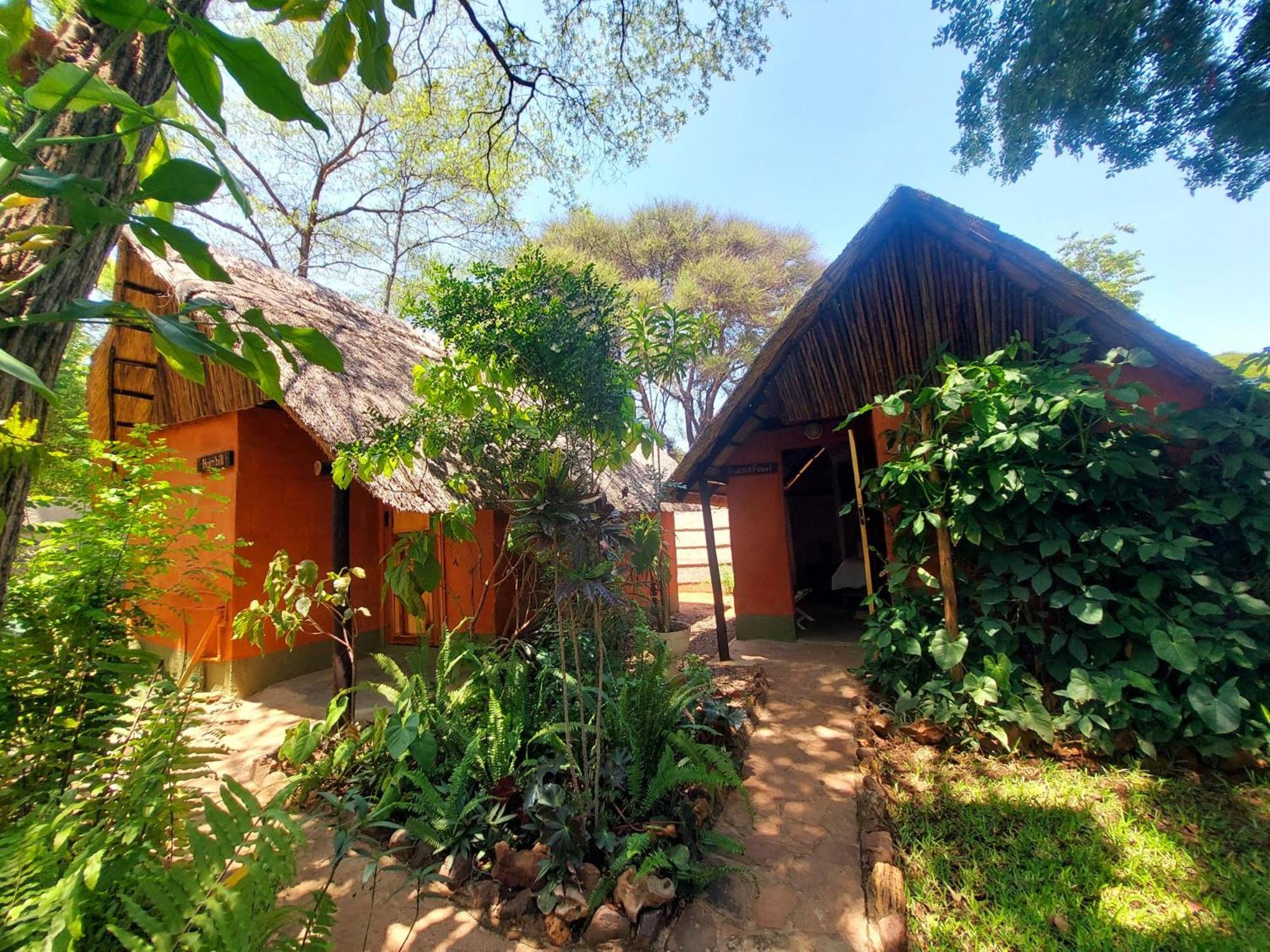Victoria Falls Backpackers Lodge