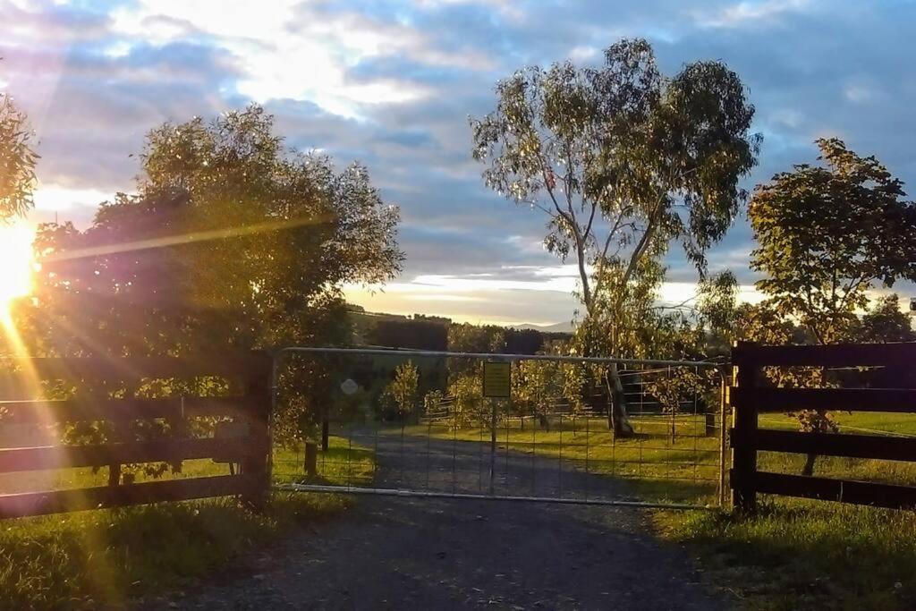JillyPark Farmstay Experience Discover Authentic Farm Life Complimentary Breakfast Included