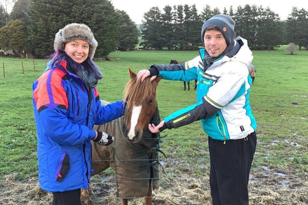 JillyPark Farmstay Experience Discover Authentic Farm Life Complimentary Breakfast Included