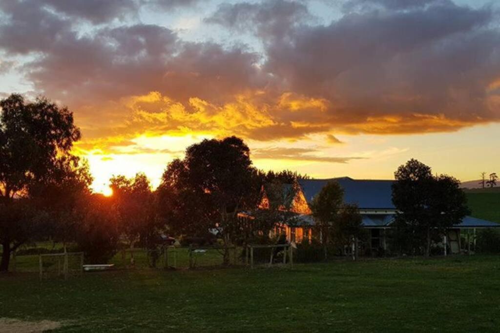 JillyPark Farmstay Experience Discover Authentic Farm Life Complimentary Breakfast Included
