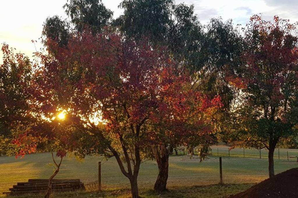 JillyPark Farmstay Experience Discover Authentic Farm Life Complimentary Breakfast Included