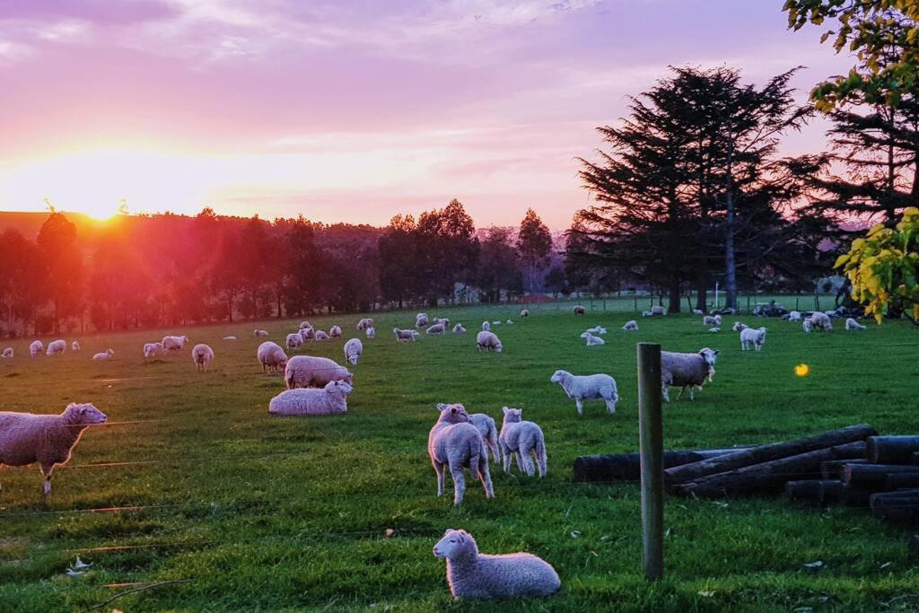 JillyPark Farmstay Experience Discover Authentic Farm Life Complimentary Breakfast Included