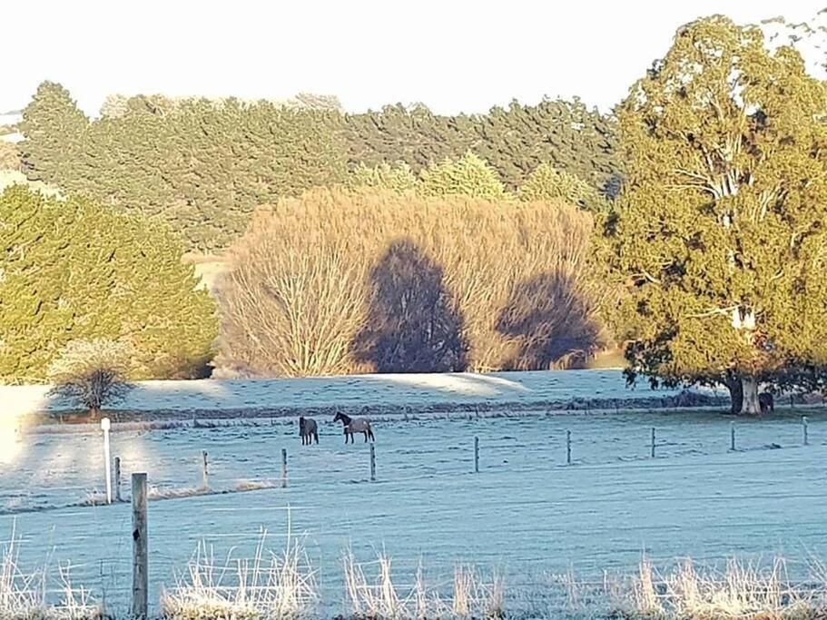 JillyPark Farmstay Experience Discover Authentic Farm Life Complimentary Breakfast Included