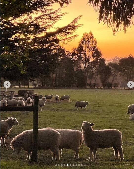 JillyPark Farmstay Experience Discover Authentic Farm Life Complimentary Breakfast Included