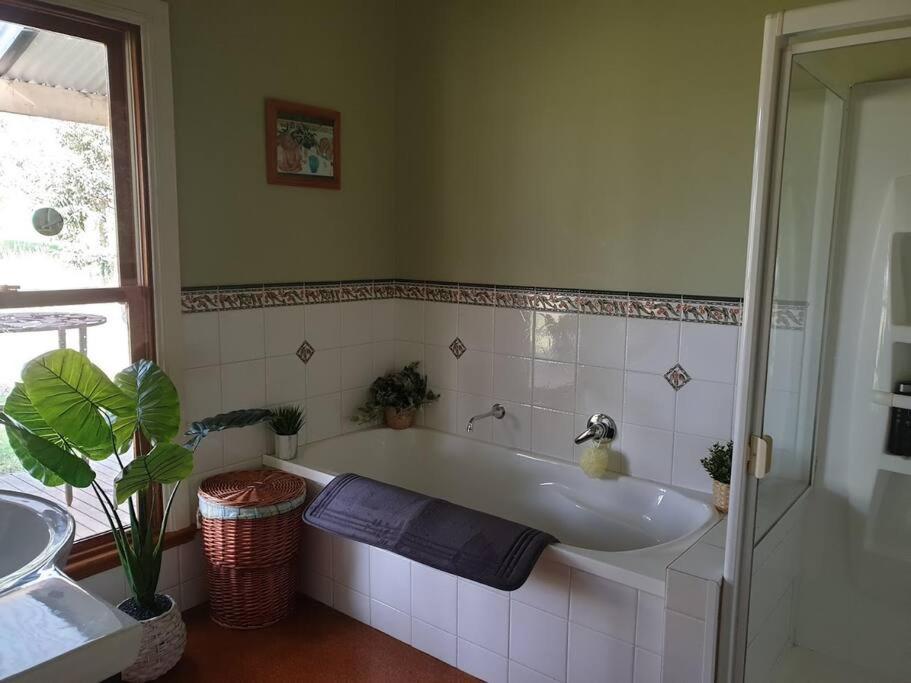 JillyPark Farmstay Experience Discover Authentic Farm Life Complimentary Breakfast Included