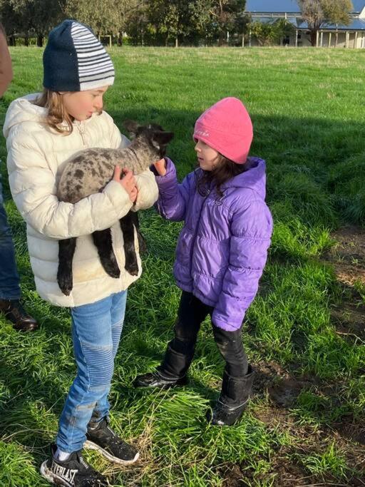 JillyPark Farmstay Experience Discover Authentic Farm Life Complimentary Breakfast Included