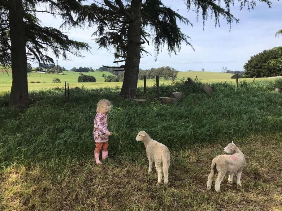 JillyPark Farmstay Experience Discover Authentic Farm Life Complimentary Breakfast Included