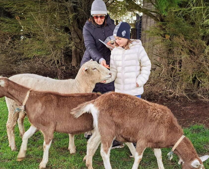 JillyPark Farmstay Experience Discover Authentic Farm Life Complimentary Breakfast Included