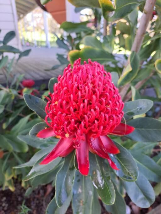 JillyPark Farmstay Experience Discover Authentic Farm Life Complimentary Breakfast Included