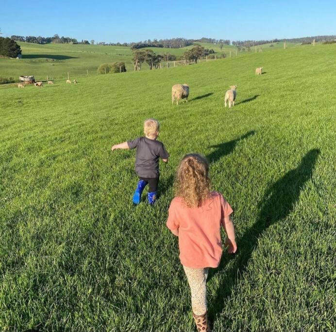 JillyPark Farmstay Experience Discover Authentic Farm Life Complimentary Breakfast Included