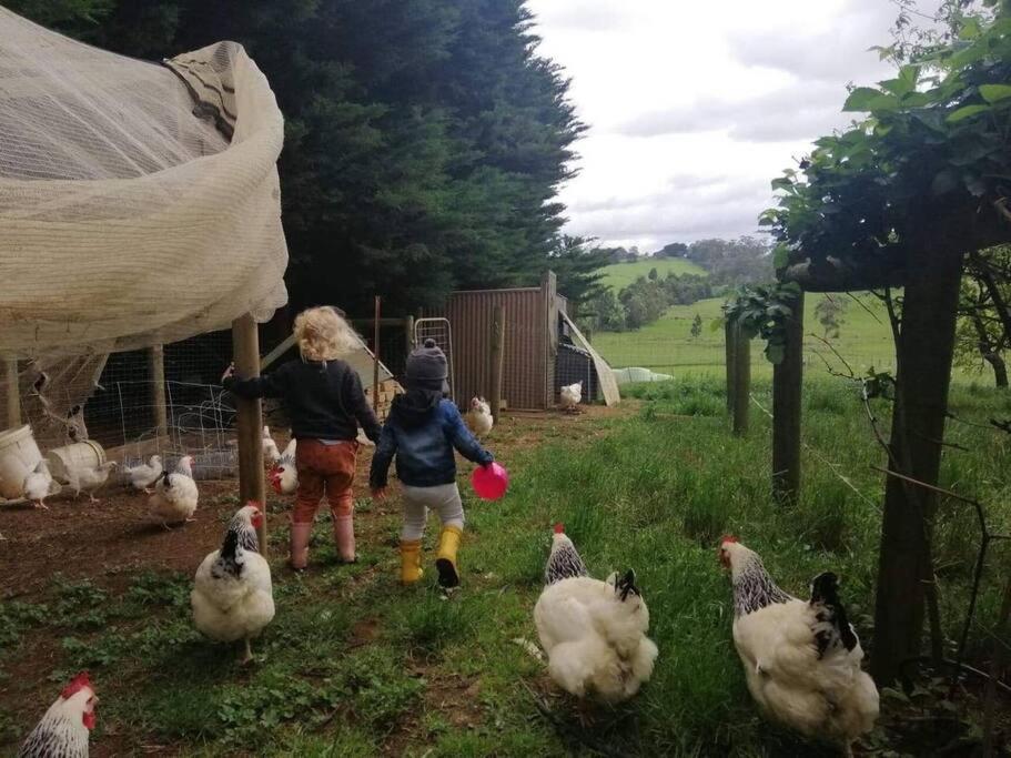 JillyPark Farmstay Experience Discover Authentic Farm Life Complimentary Breakfast Included