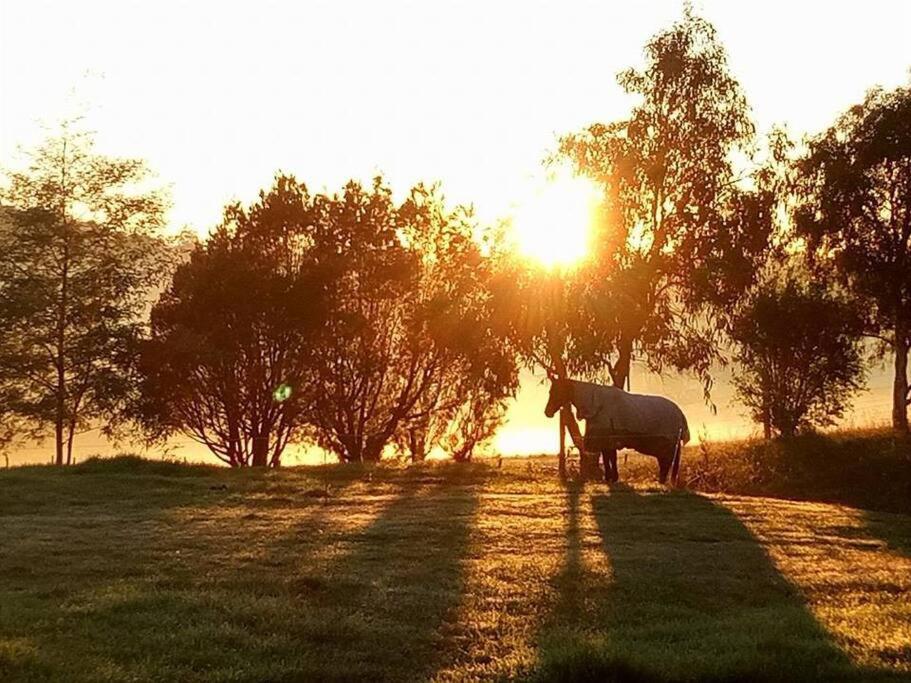 JillyPark Farmstay Experience Discover Authentic Farm Life Complimentary Breakfast Included