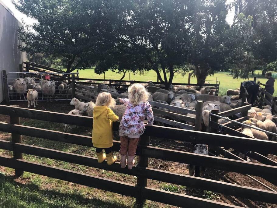 JillyPark Farmstay Experience Discover Authentic Farm Life Complimentary Breakfast Included