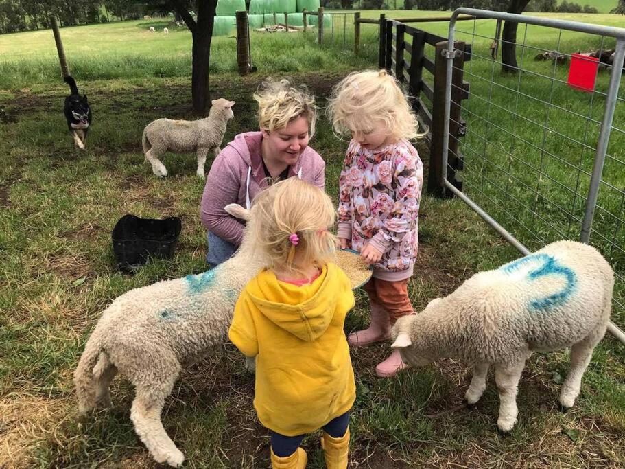 JillyPark Farmstay Experience Discover Authentic Farm Life Complimentary Breakfast Included