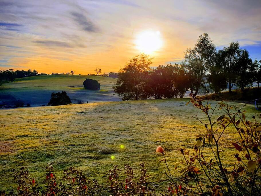 JillyPark Farmstay Experience Discover Authentic Farm Life Complimentary Breakfast Included