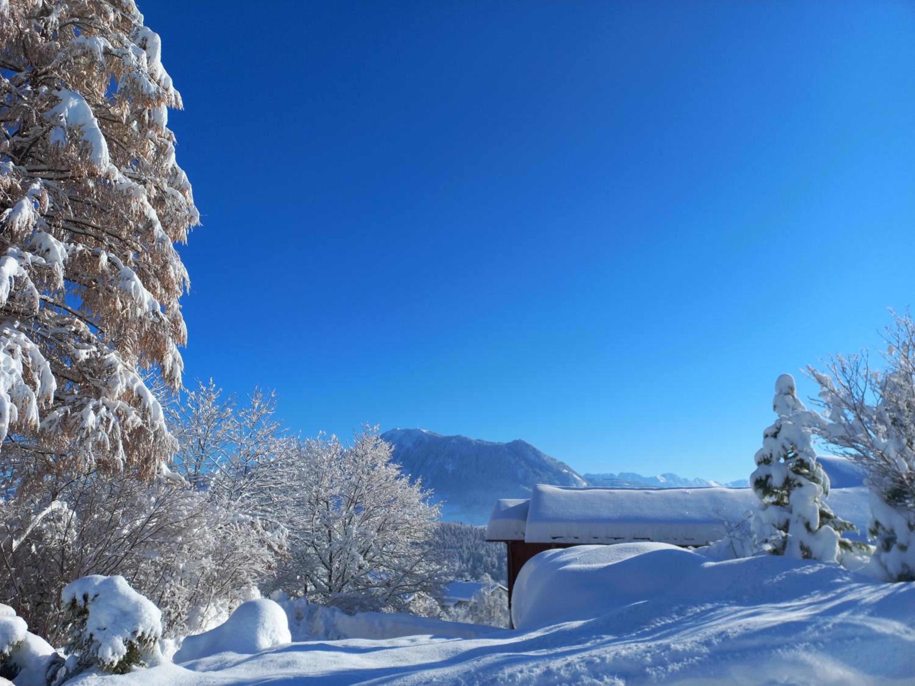Allgäutraum ! Dein Berg- und Alpsee Urlaub in top Lage - 70qm - 3 Zimmer