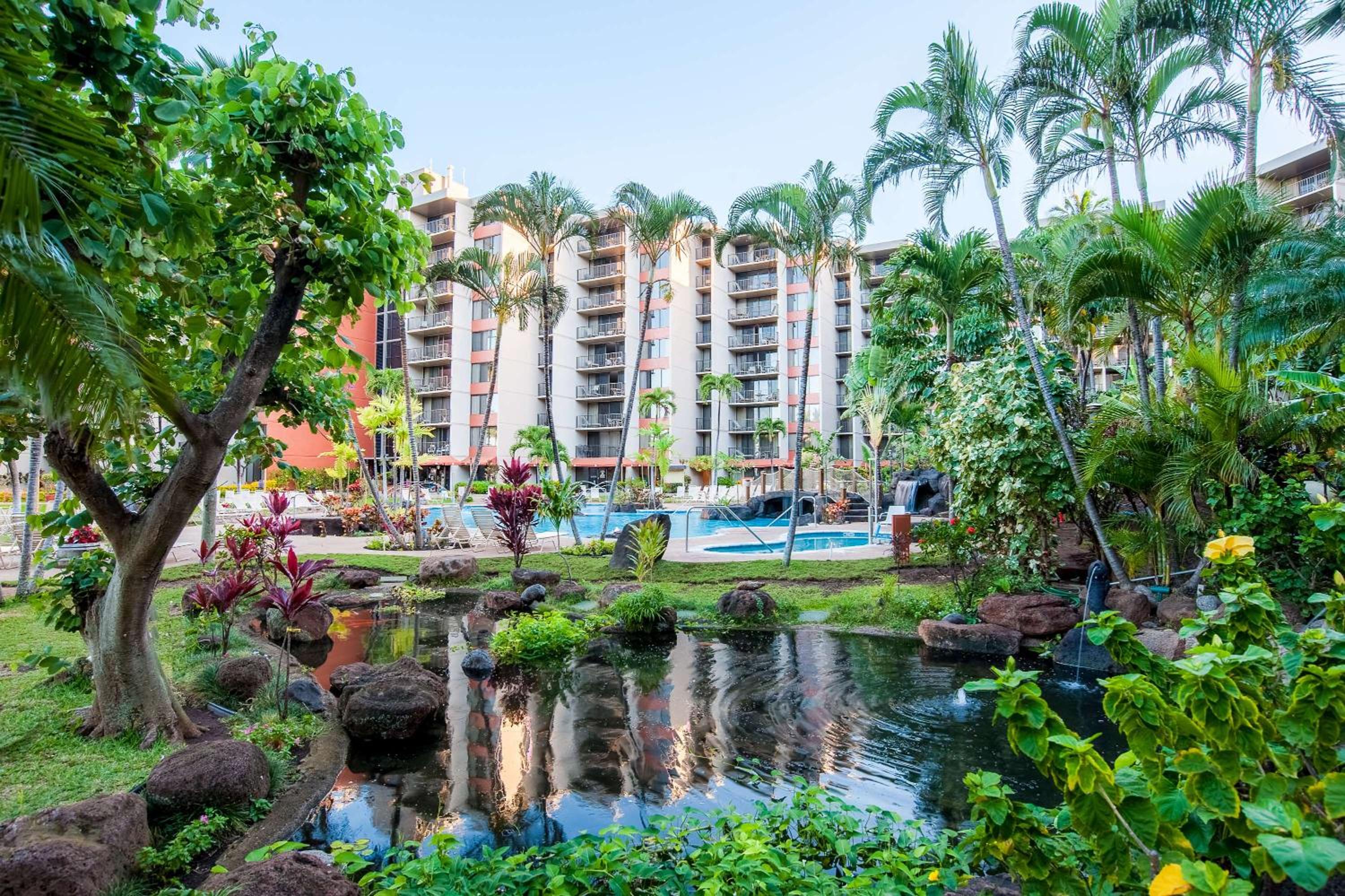 Aston Kaanapali Shores 53