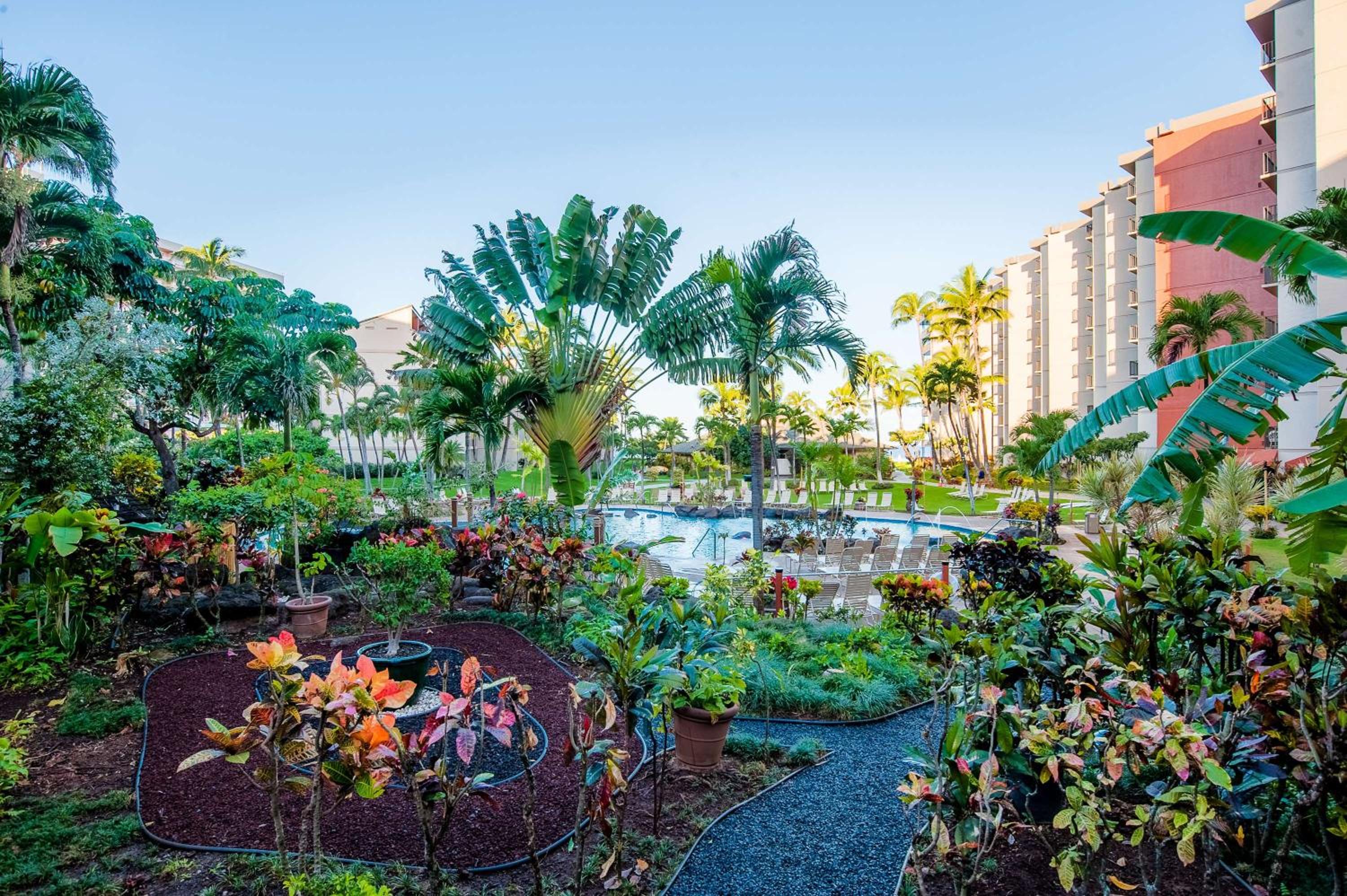Aston Kaanapali Shores 55
