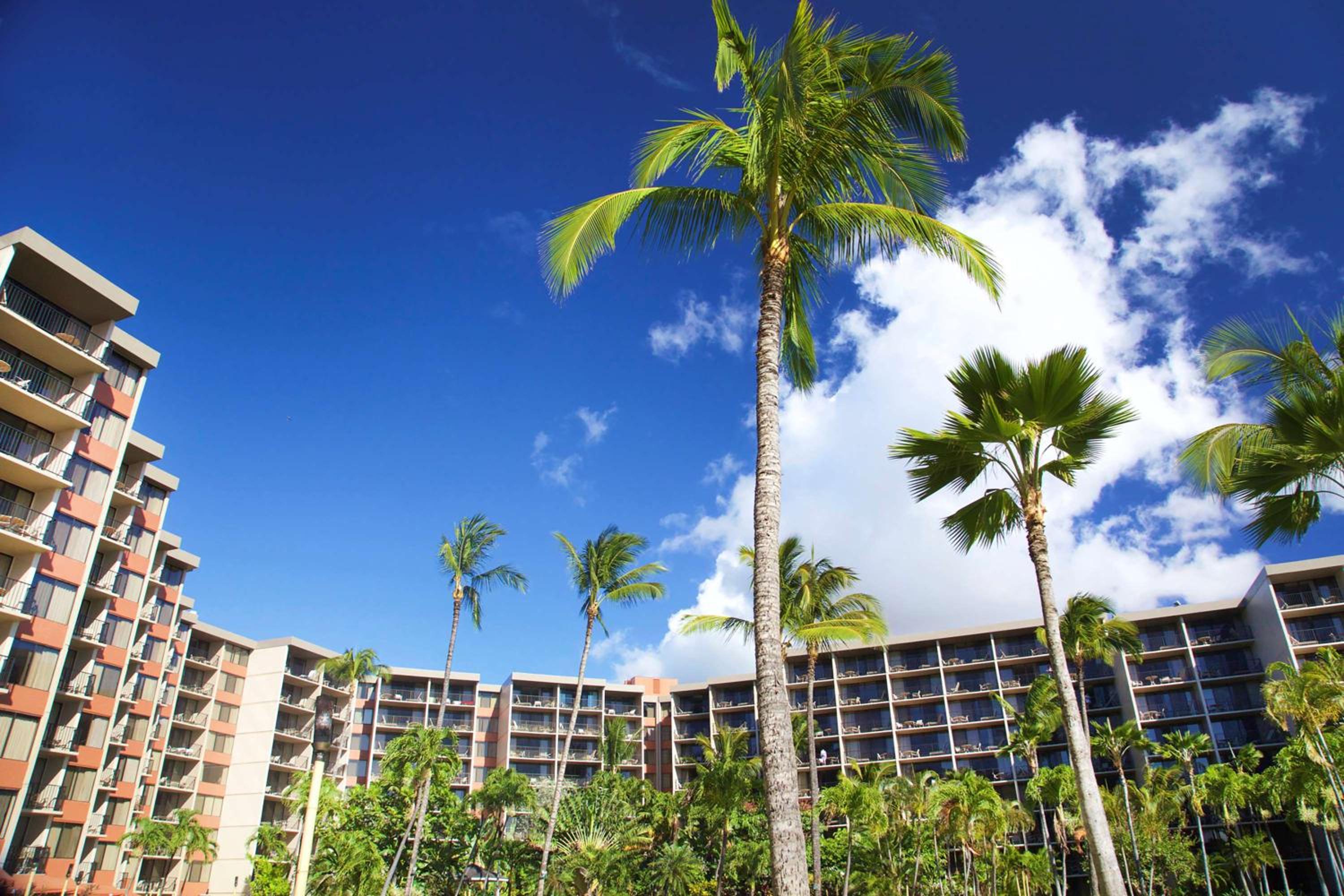 Aston Kaanapali Shores 33
