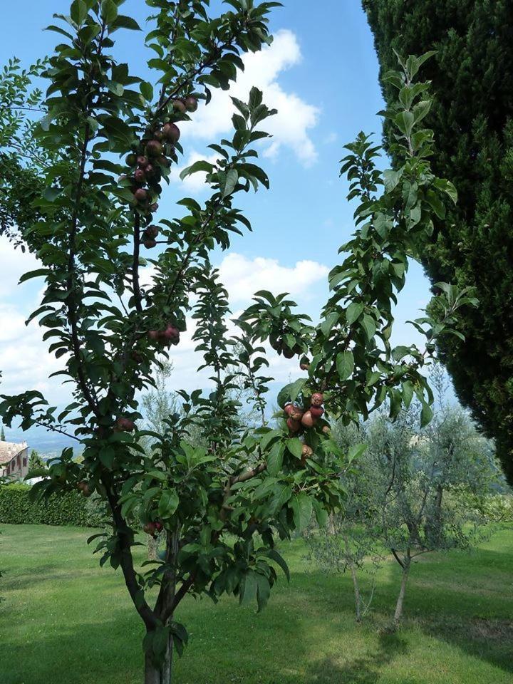 Agri Resort La Forra