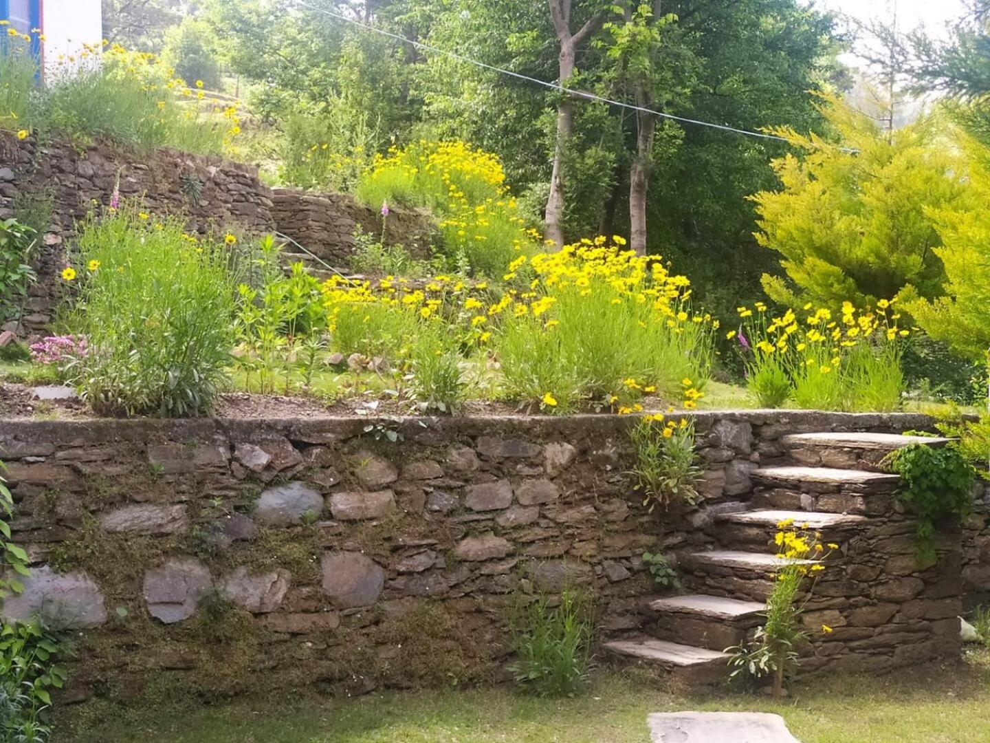 Photo 27