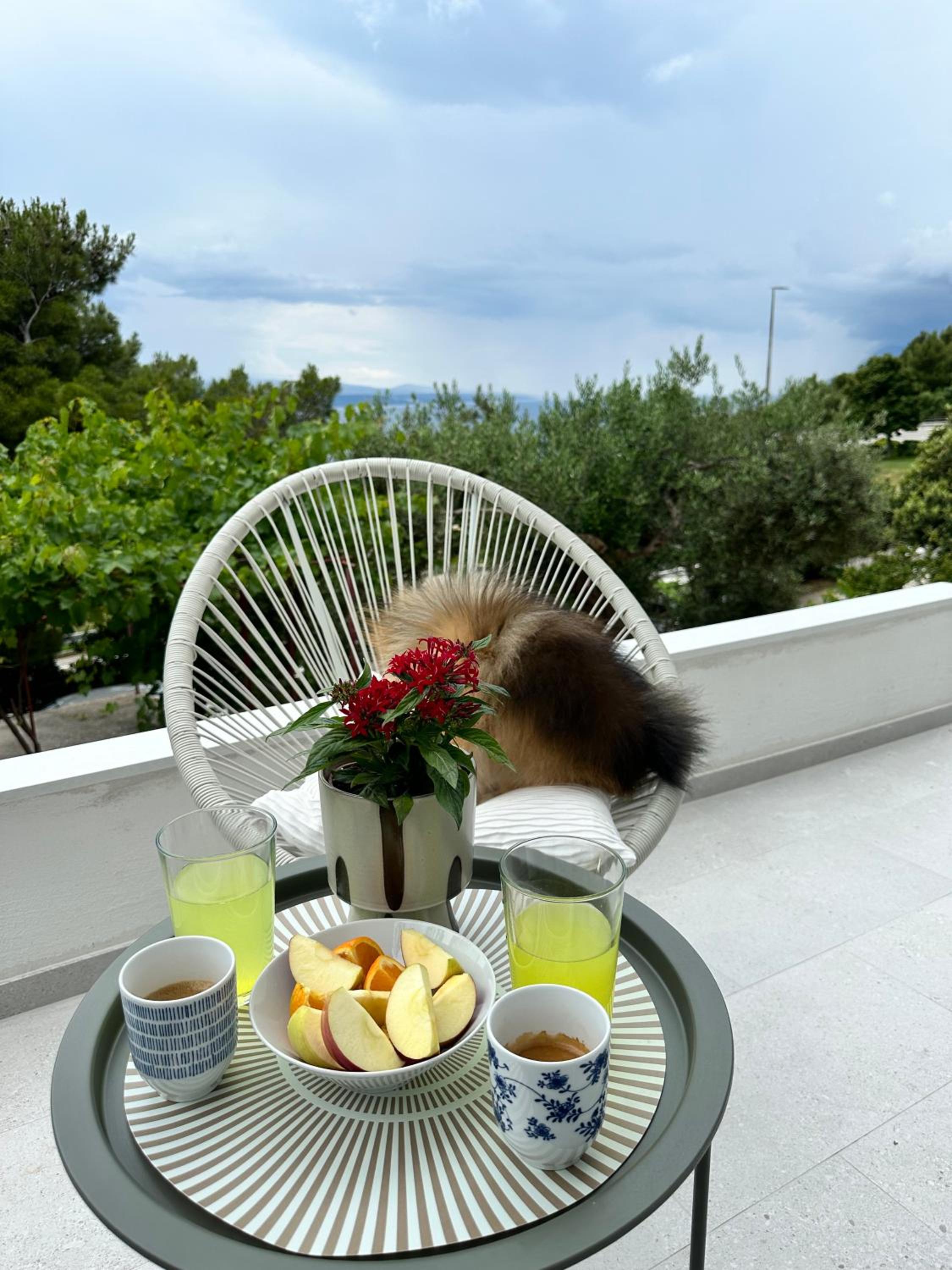 Olive View Apartment Brela - pet friendly en Brela — balance & terrace