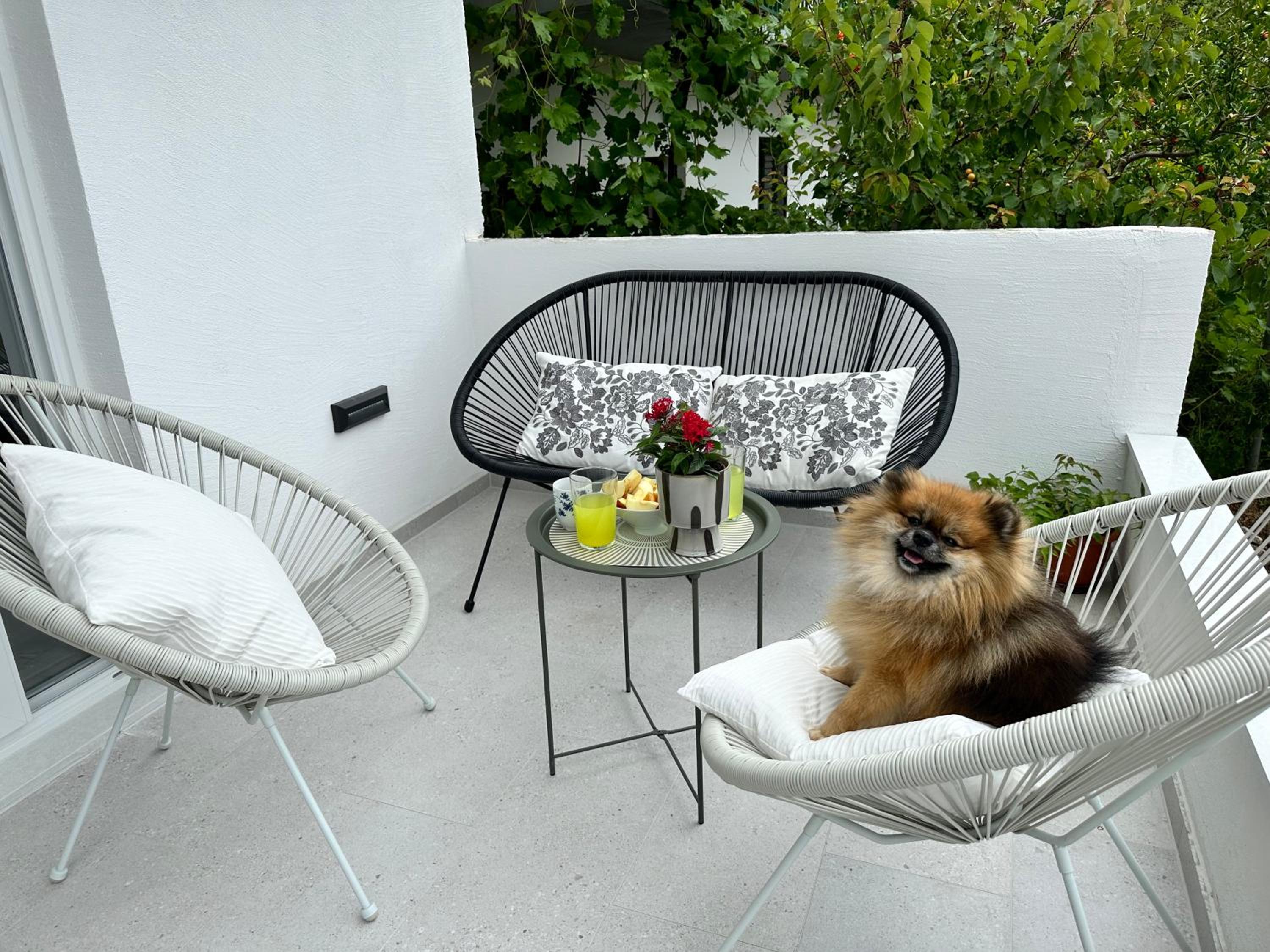 Olive View Apartment Brela - pet friendly en Brela — balance & terrace