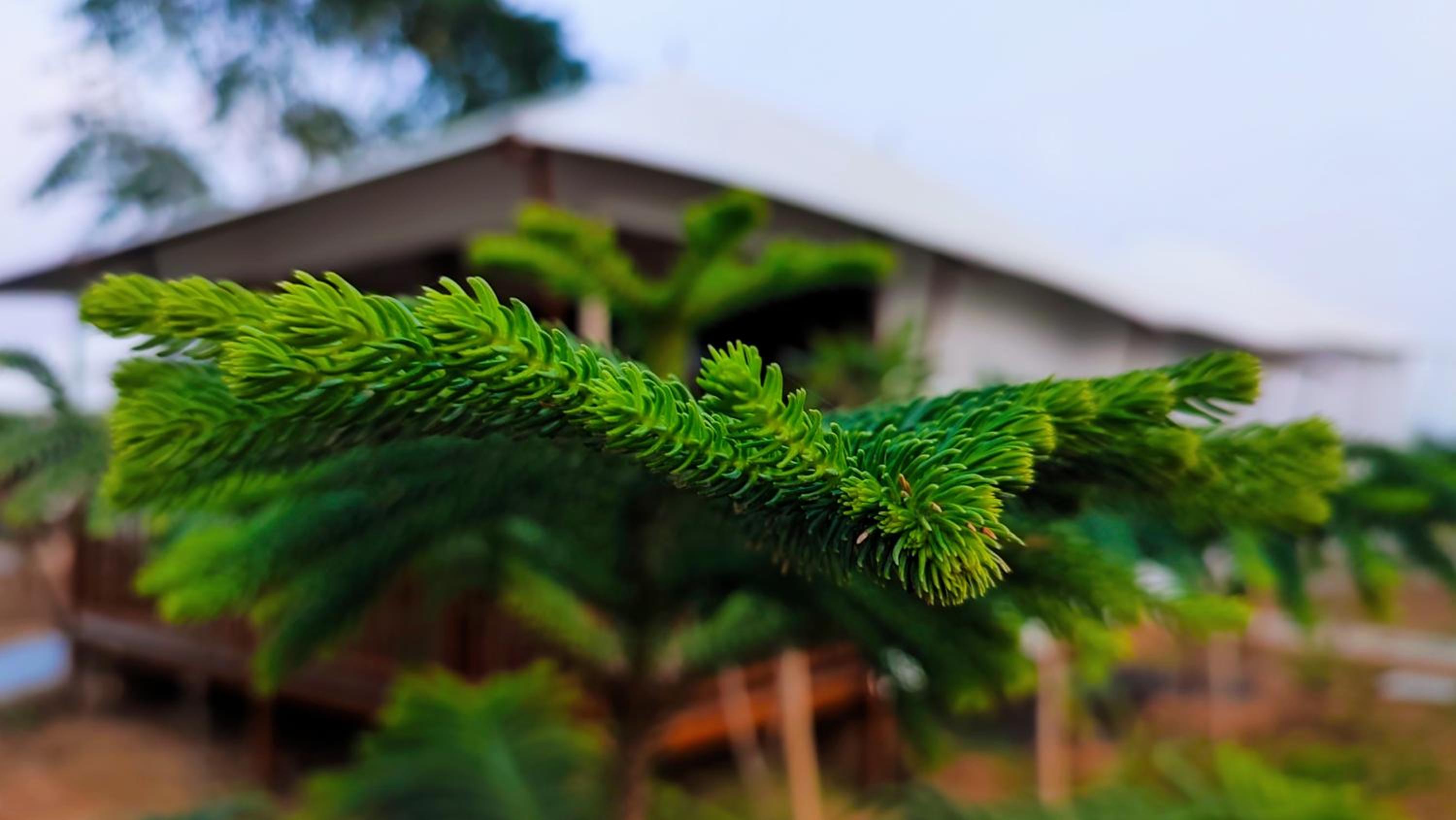 Luxe Stayz Signature Pushkar