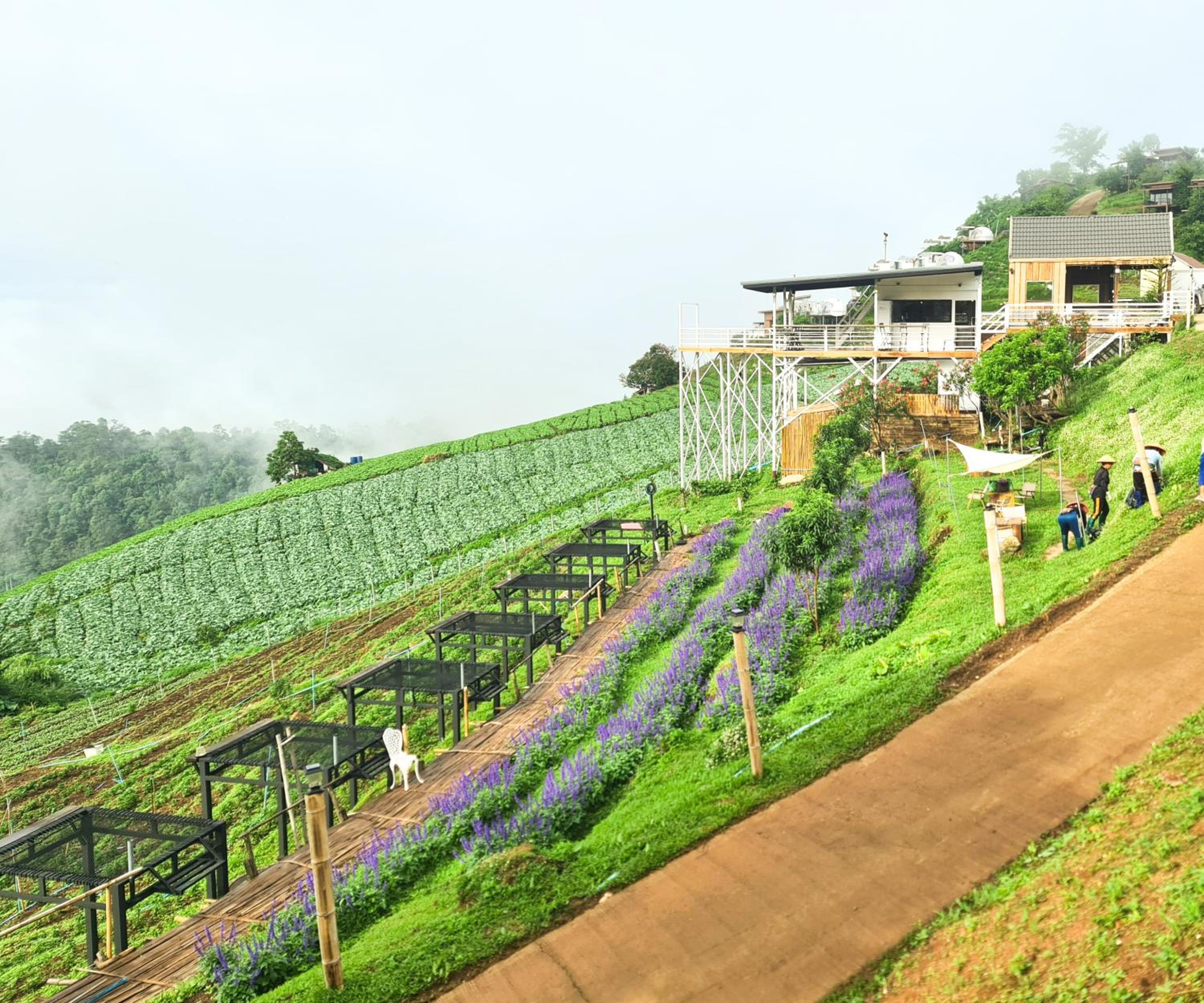 ภูวินคาเฟ่ โฮมสเตย์ Phuwin Homestay Monjam