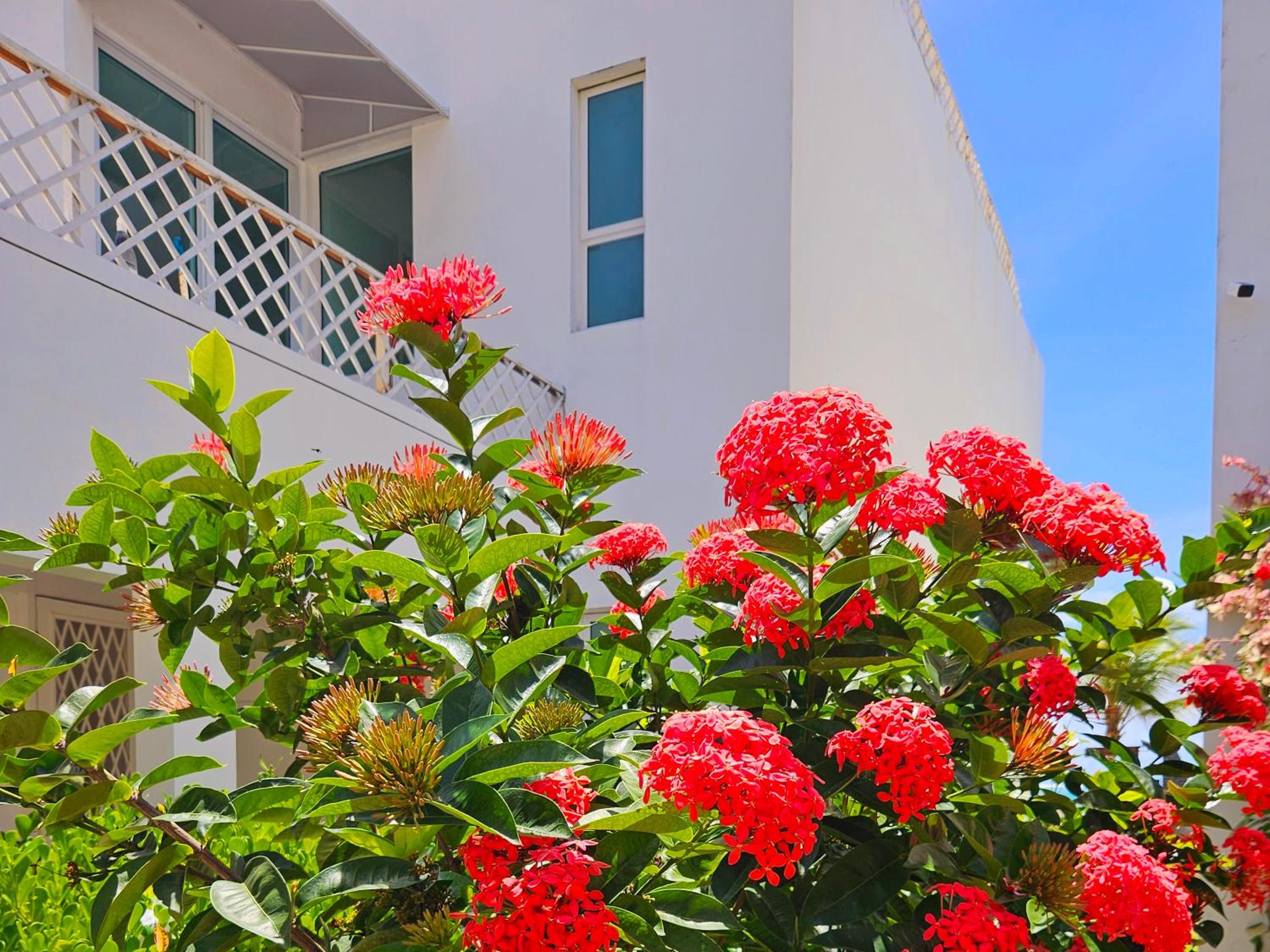 Romantic Sea Villa w/AMAZING SEA VIEW - DIRECTLY ON THE BEACH!