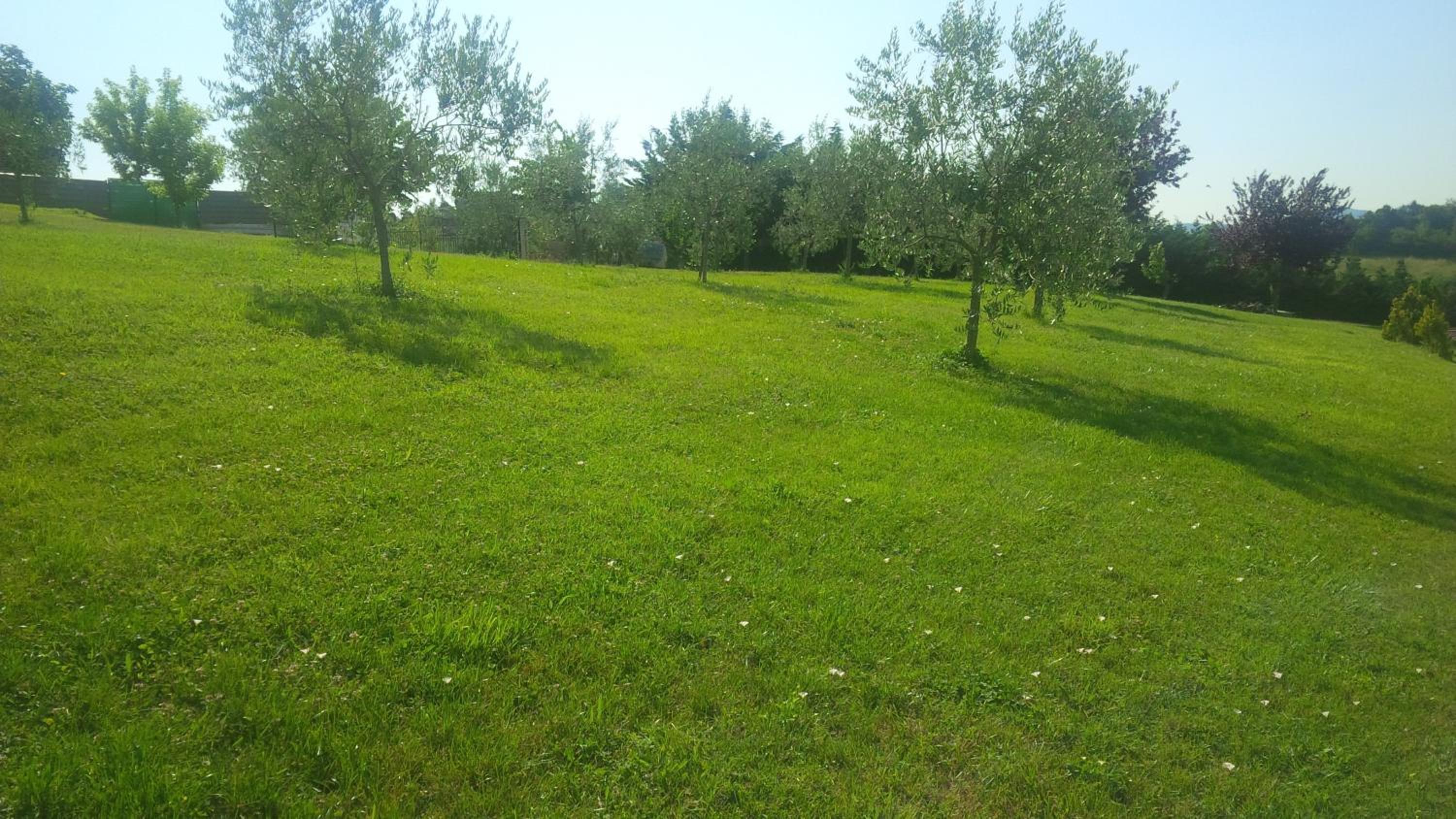 Photo 57