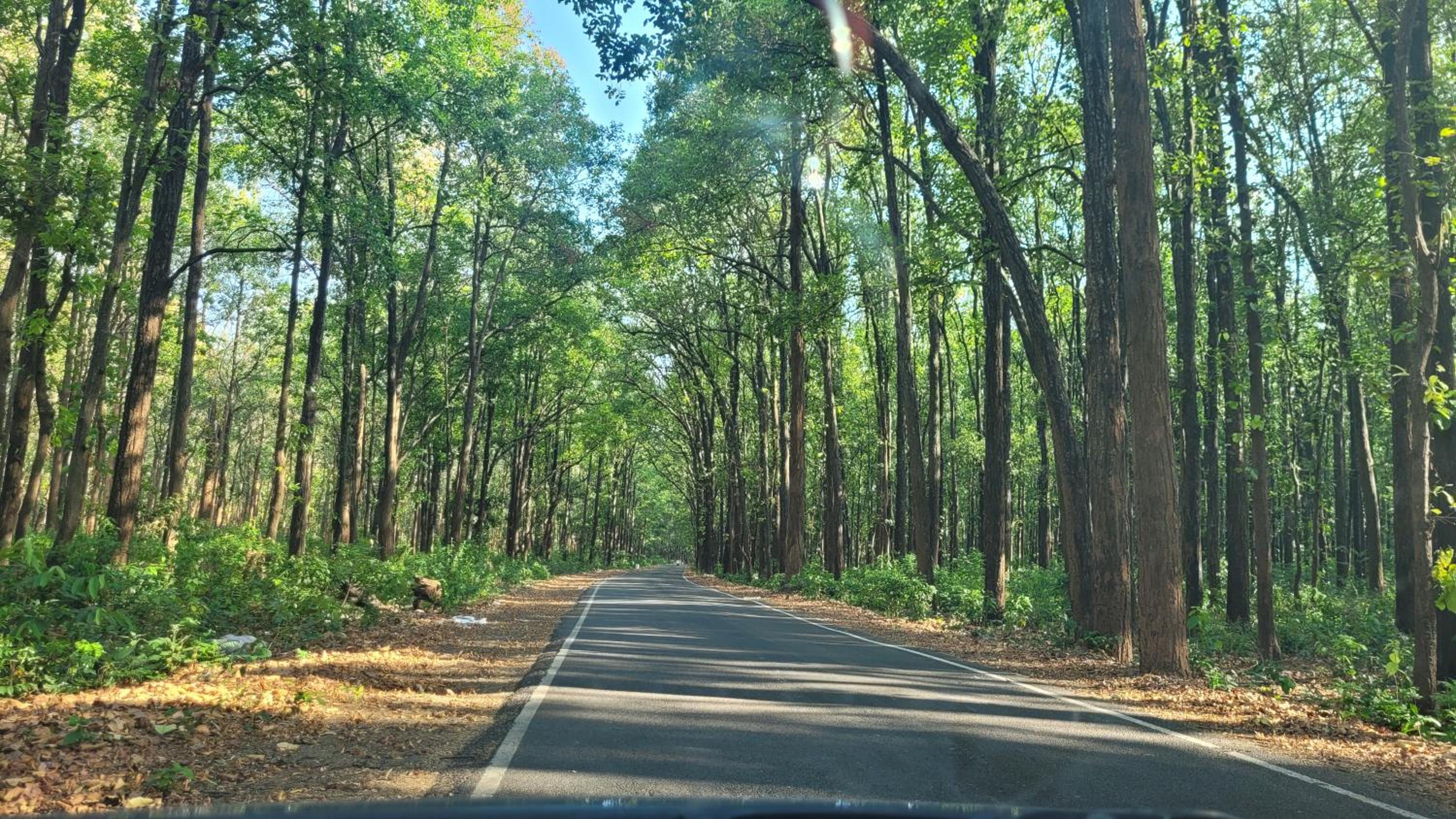 Corbett Mid Forest House - 200 Meters from Sitabani Jungle Safari view 2