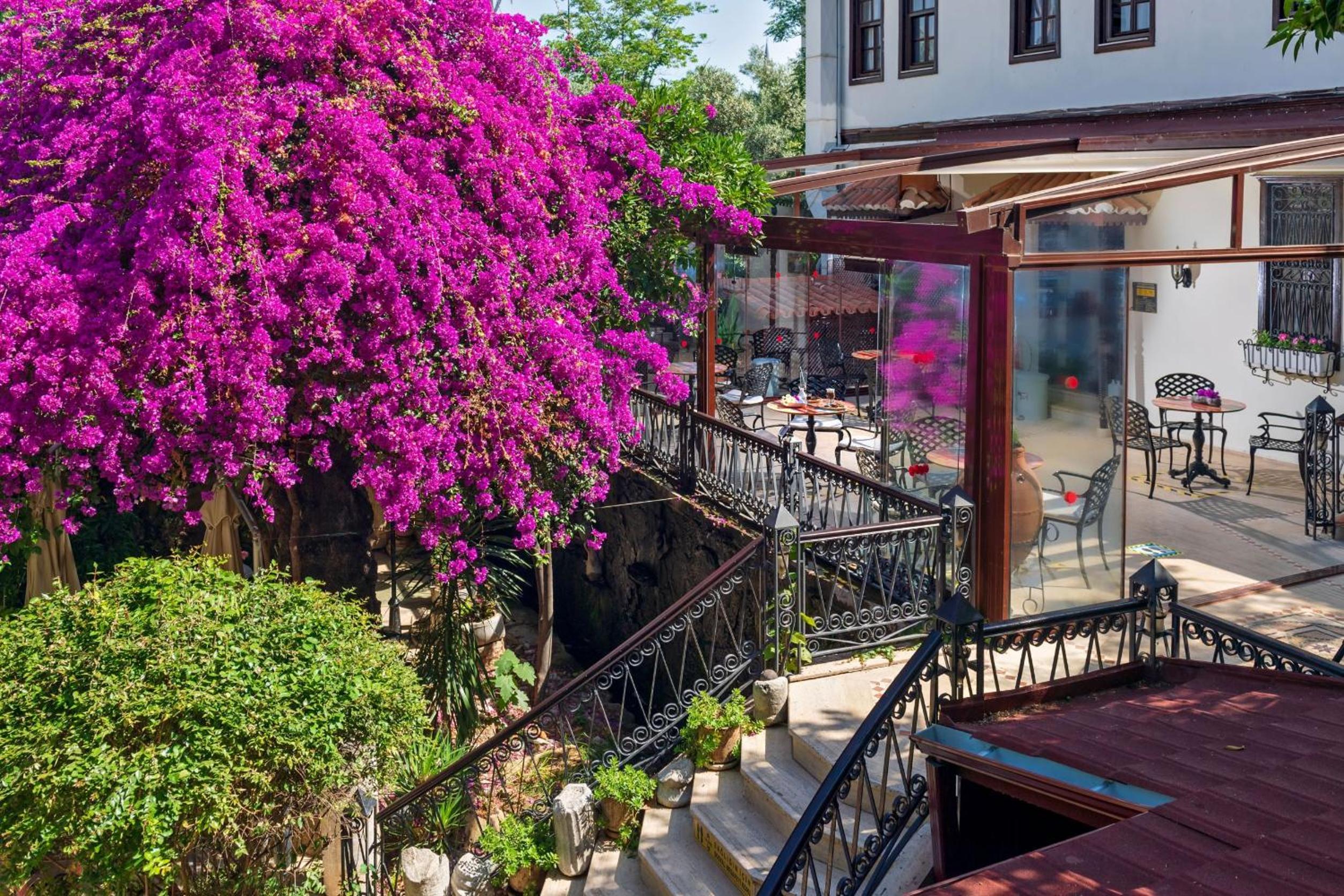 Dogan Hotel by Prana Hotels & Resorts - Special Class