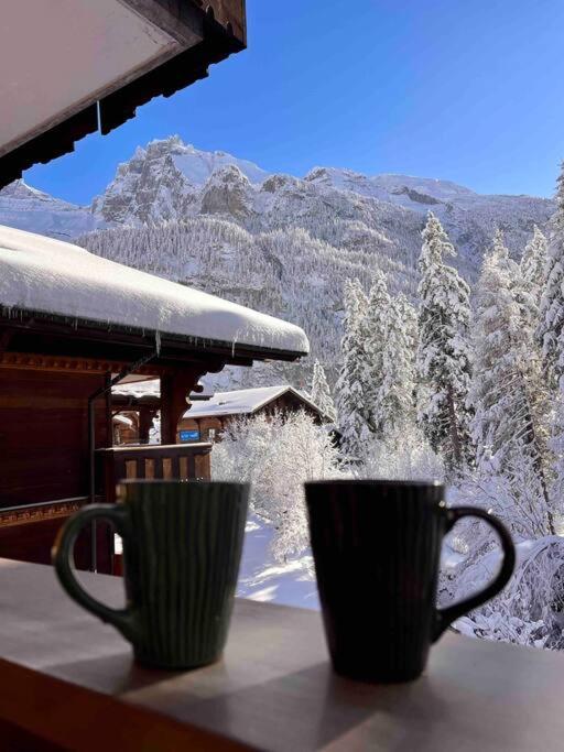 Peacefull Mountains View