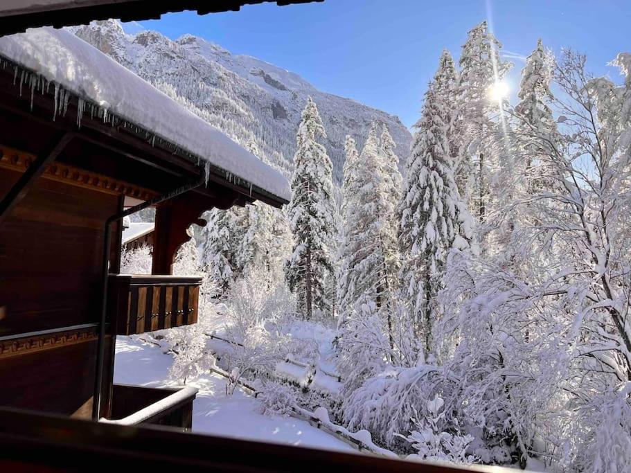 Peacefull Mountains View